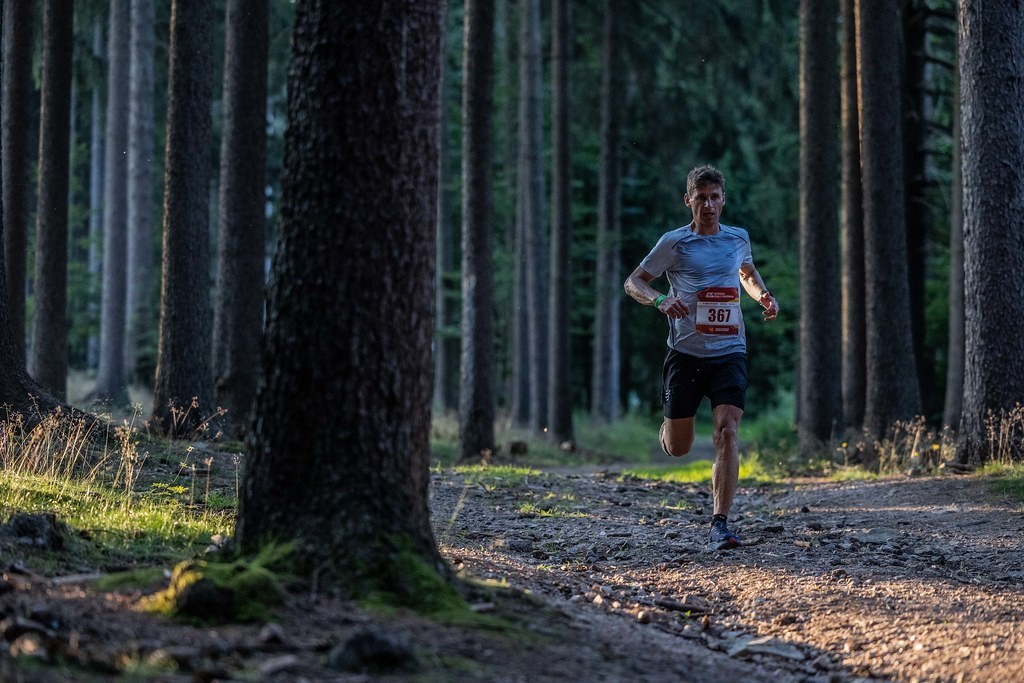 Modelová řada Hoka Clifton je vhodná na každodenní trénink