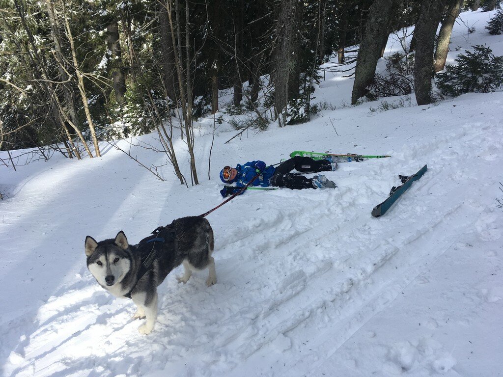 Recenze skitouringového adaptéru Contour StartUp Recenze skitouringového adaptéru Contour StartUp