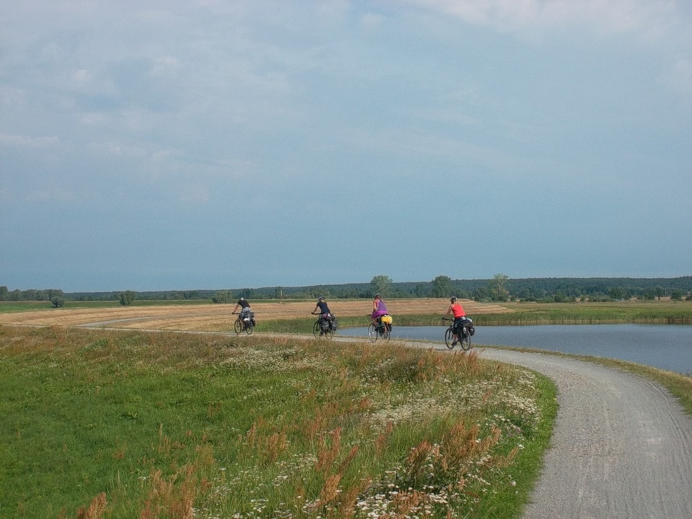 cyklostezka podél Labe