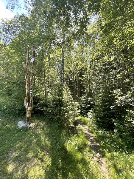 Odbočka z asfaltky na první pořádný trailový úsek závodu je na druhém kilometru