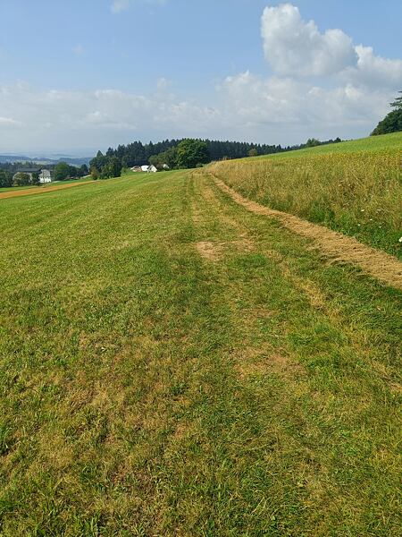 trailrunning-camp-sumava-lipensko