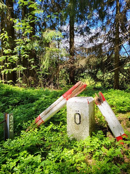 trailrunning-camp-sumava-lipensko