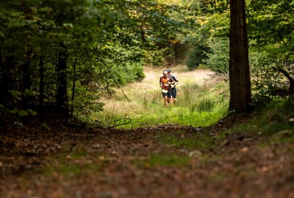 trailrunning-camp-sumava-lipensko-pasecna
