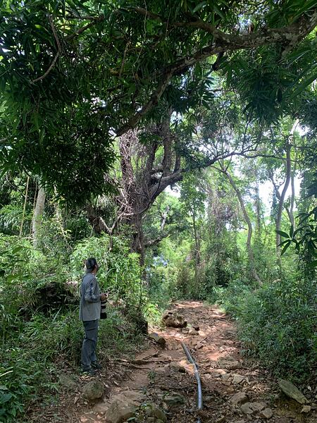 Hledání lemurů v pralese podle zvuků