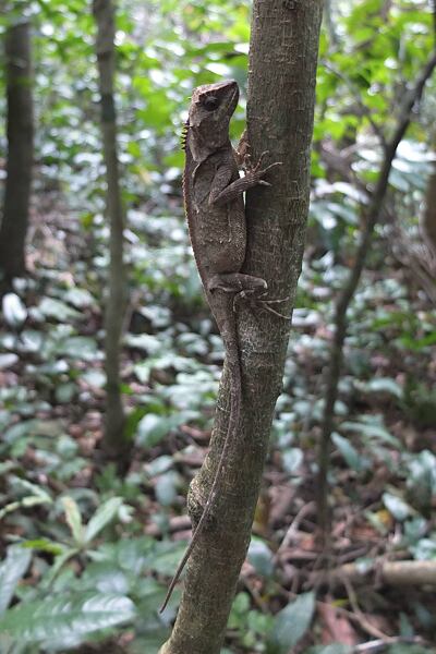 dobrodruzstvi-v-zatoce-halong-bay