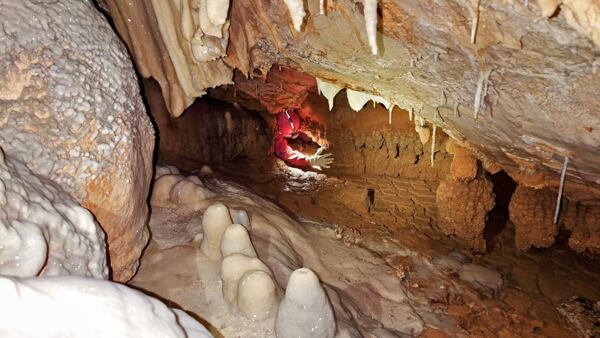 Neobvykle tvarované „baňaté“ krápníky, lemující výlez z Bahnité síňky pod převisem v Chodbě pokladů, vznikly pod vodní hladinou (foto M. Bartošek)