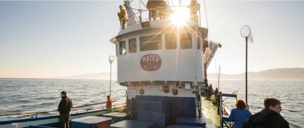 Speciálně přizpůsobené lodě vytahují plastový odpad z oceánu a předávají dál ke zpracování