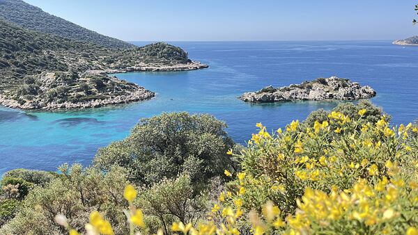Žluté keře, které byly všude kolem mě a krásně zářily v krajině, jsou kručinky (genista) z&nbsp;čeledi bobovitých, ale byly plné píchajících trnů, a tak kličkovat cestičkami mezi nimi celý den nebylo úplně to nejpříjemnější - Lýkijska stezka - Turecko
