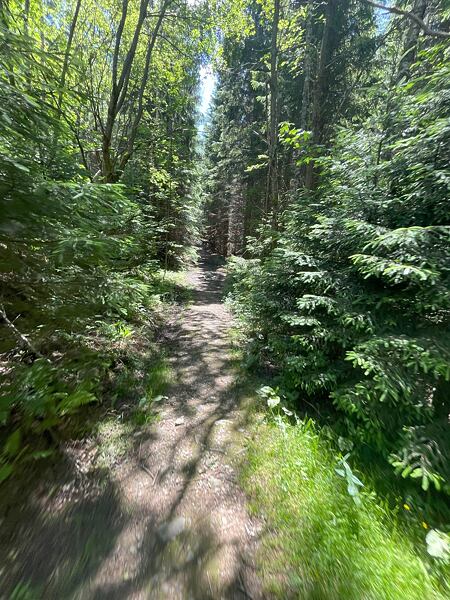 Tenhle parádní trailový úsek si vychutnejte, a určitě není poslední