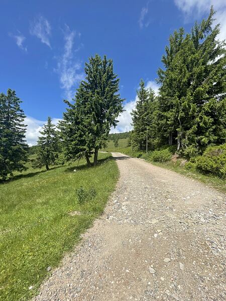 Dálnice ke starým Klínovým boudám, v létě prament téměř vyschnul