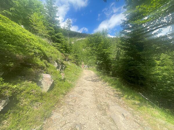 Pořád nahoru a pořád po červené