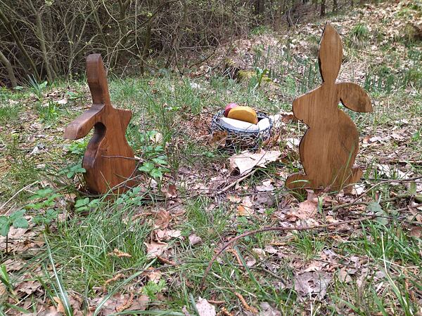 Lesní stezka Labské pískovce: „krátká“ dálková trasa 100 km