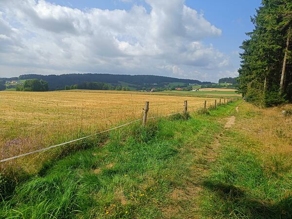 trailrunning-camp-sumava-lipensko