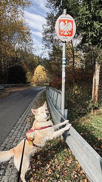 stezka-ceskem-vyherkyne-niki-grulichova