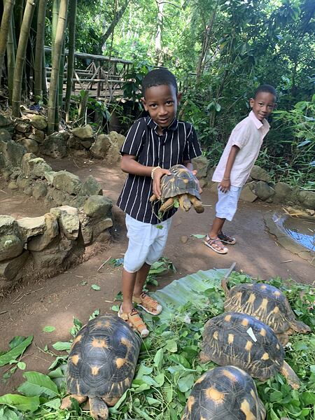 Lemuria Land - ikonickými druhy z Madagaskaru jsou želvy, žije zde několik druhů. Nejbarevnější jsou ohrožené želvy paprsčité