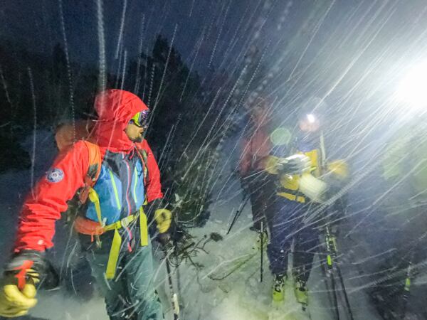 Kurzy nejsou žádný med