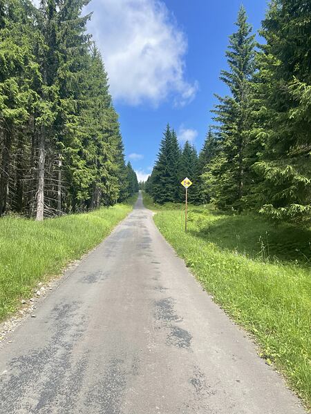 Asfaltka z Krásných plání, stále ještě vede nahoru