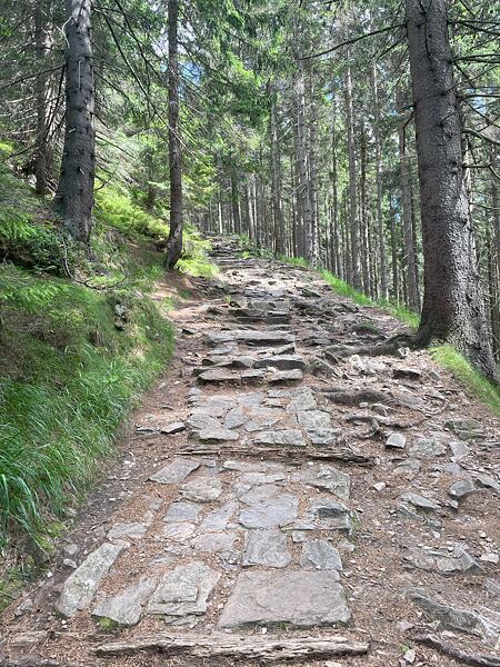 Zde přichází ošemetný úsek kamenného chodníku. Nekonečné stoupání po ostrých kamenech vyžadující nepravidelný krok