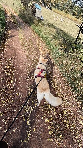 stezka-ceskem-vyherkyne-niki-grulichova