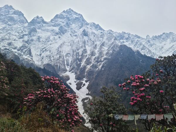 Tsum valley