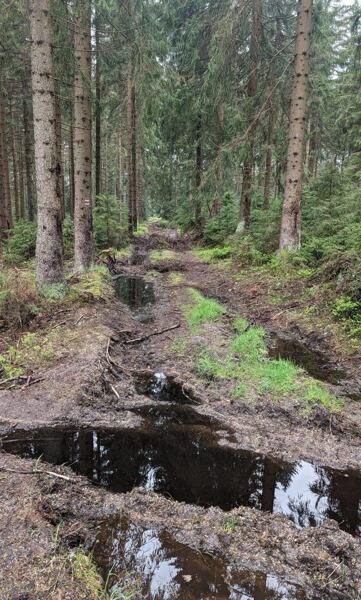 Pánské běžecké boty Dynafit Ultra Pro 2 - dají jakýkoliv terén i za mokra, jejich přilnavost je parádní