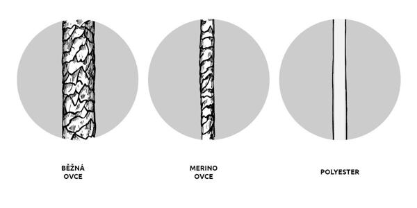 Porovnání šířky a struktury vlákna "běžné" ovce (vlevo), ovce merino (uprostřed) a polyesteru (vpravo)