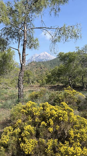 V&nbsp;dálce se na mě vyzývavě smál nejvyšší vrchol Tahtali Dagi, tzv. Lýkijský Olymp, ten si ale schovám napříště; o důvod víc se sem ještě někdy vrátit