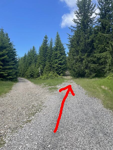 Tady prosím doprava, je to kratší a navíc vede k občerstvovačce u Boudy na Pláni