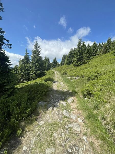 Od útulny po modré a kostrbaté pešině směrem do Dlouhého dolu, teď už to bude skoro jen z kopce