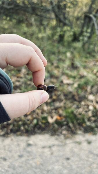 stezka-ceskem-vyherkyne-niki-grulichova