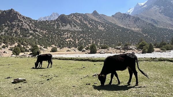 Fanské hory - trek v Tádžikistánu