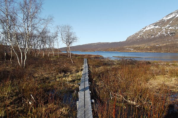 kungsleden-svedsky-trek-bez-lidi