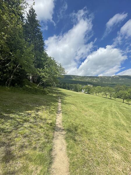 Nezdá se to, ale pěšinka je do mírného kopce a vede až k silnici