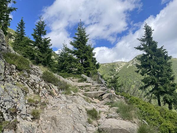 Zde už ustupuje les a dostáváme se opravdu do horského prostředí, navíc s krásnými výhledy