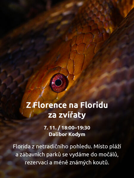 Přednáška Z Florence na Floridu za zvířaty