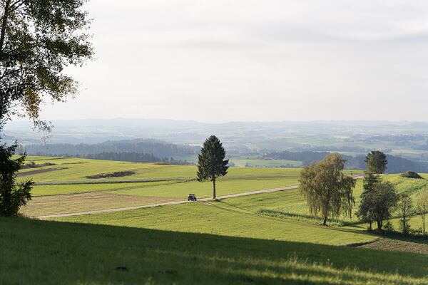 trailrunning-camp-sumava-lipensko-pasecna