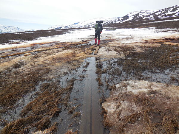 kungsleden-svedsky-trek-bez-lidi