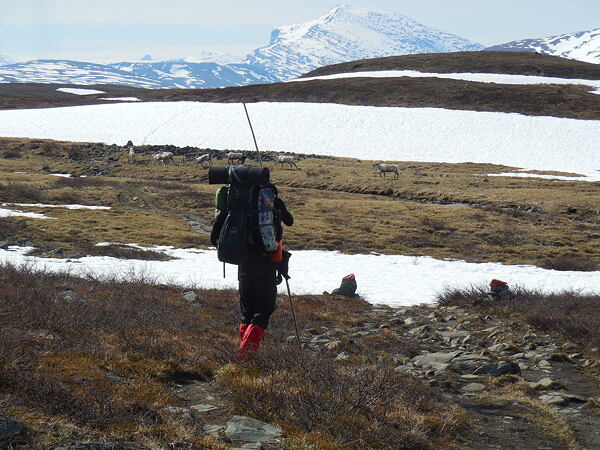 kungsleden-svedsky-trek-bez-lidi-2dil