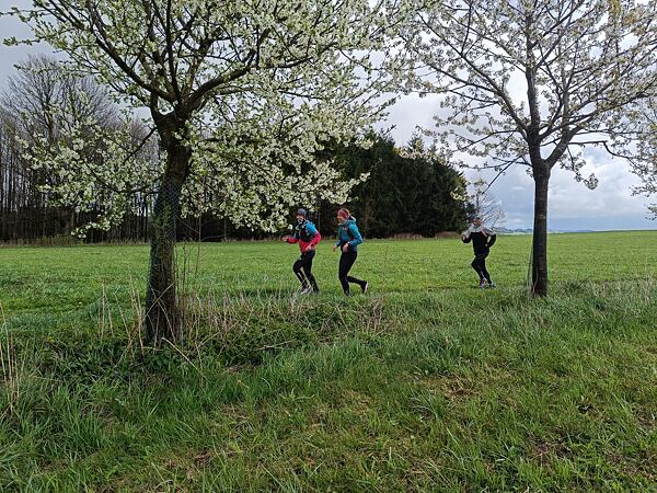 trailrunning-camp-vysocina