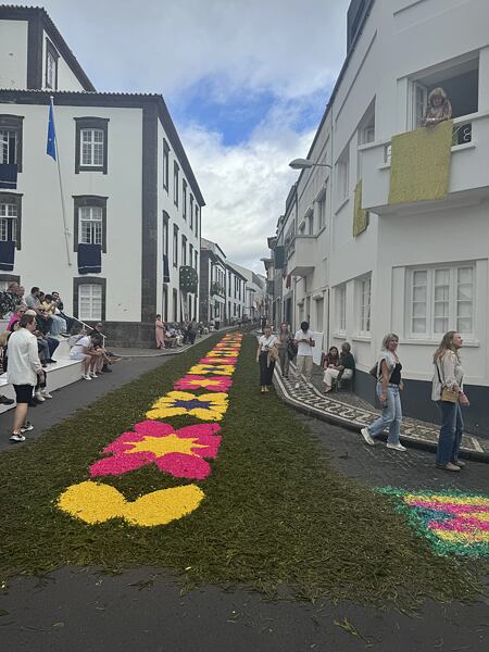 Takovéhle krTakovéhle krásné květinové koberce mě vítaly hned po příletu - výzdoba v rámci místních největších náboženských slavnostíásné květinové koberce mě vítaly hned po příletu