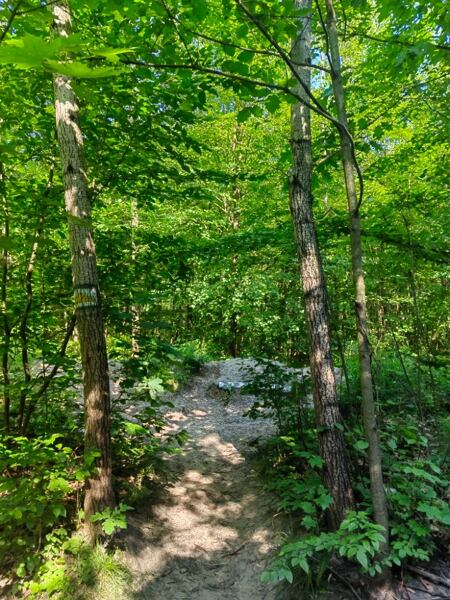 spolecne-vybehy-po-trasach-trailtour-ostrava