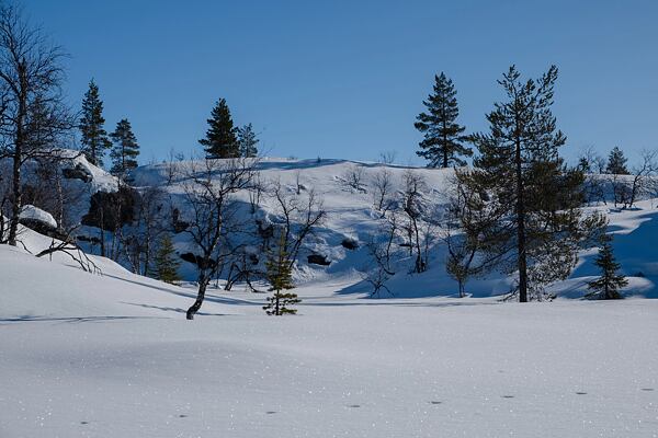 Laponsko, NP Pallas-Yllästunturin kansallispuiston