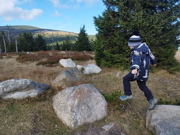 Dětské boty KEEN Targhee IV MID WP Children