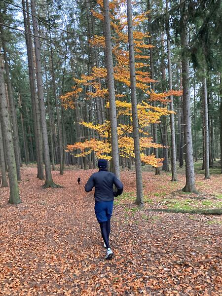 Pánské běžecké boty Hoka M Speedgoat 6 GTX – skvělá tréninková bota od podzimu do jara