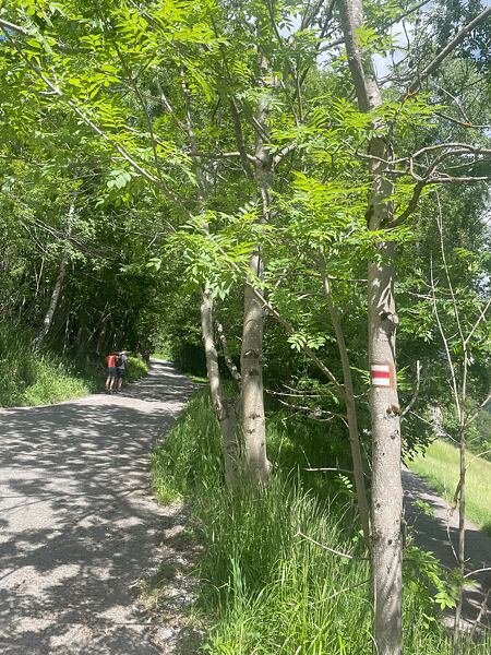 U Orea rezortu se trasa drží stále po levé straně údolí, držte se červené turistické značky