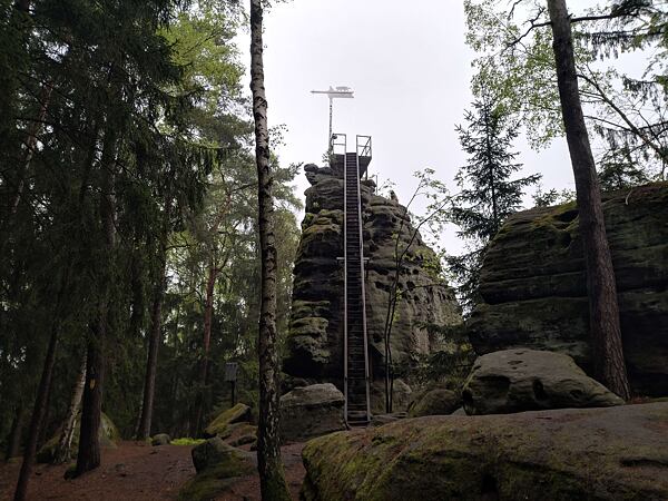 Lesní stezka Labské pískovce: „krátká“ dálková trasa 100 km