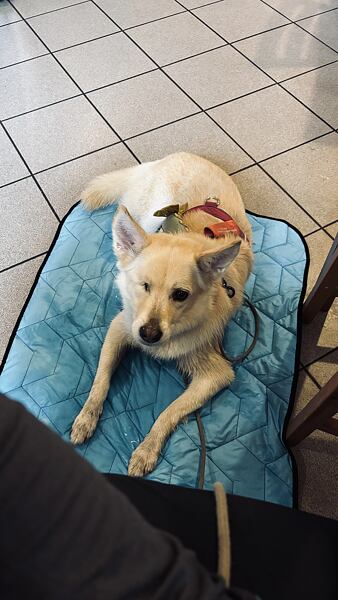 stezka-ceskem-vyherkyne-niki-grulichova