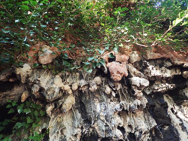 Albánie, Expedice Neuron Atmos 2024 - Kobyla, fosilní výzdoba u vstupu