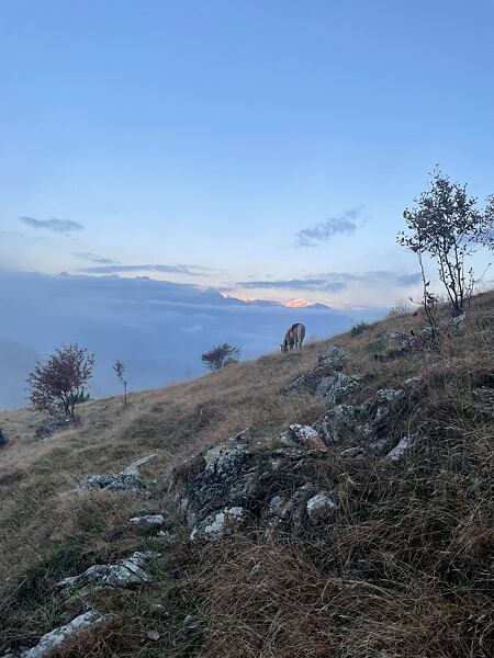 Přeběh Torino – Marseille s otestováním Craft produktů