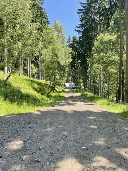 Pokud jste v oboře zaběhli až sem, tak jste odbočku minuli a musíte se vrátit